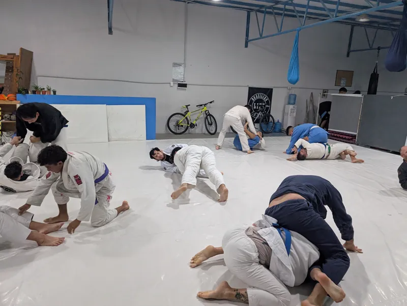 Open Mat en el tatami de BJJ Life